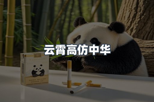 云霄高仿中华